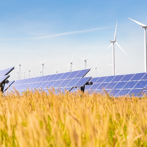 Solarfarm mit Windpark. Im Hintergrund blauer Himmel, im Vordergrund goldene Ähren.