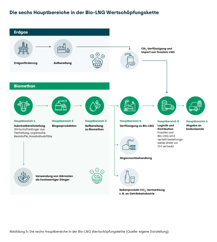nfografik mit dem Titel 'Die sechs Hauptbereiche in der Bio-LNG Wertschöpfungskette'. Zwei Hauptbereiche sind durch grüne Überschriften und Symbole hervorgehoben: Erdgas und Biomethan. Links oben steht 'Erdgas' mit Symbolen für Erdgasförderung und Aufbereitung. Ein Pfeil führt zu einem Symbol für die Verflüssigung und den Import von fossilem LNG. Darunter beginnt der Bereich 'Biomethan' mit drei Hauptbereichen: Substratbereitstellung, Biogasproduktion und Aufbereitung zu Biomethan. Symbole zeigen Pflanzen, eine Biogasanlage und einen Aufbereitungsturm. Ein Pfeil führt zu den Bereichen Verflüssigung zu Bio-LNG, Verteilung und Nutzung. Symbole illustrieren Tankwagen, eine Tankstelle und einen Lkw. Ein weiterer Bereich zeigt die Verwertung von Gärresten als Nebenprodukt. Die Grafik nutzt grüne und türkise Farbtöne, klare Linien und Piktogramme. Unten steht eine Legende mit der Quellenangabe.