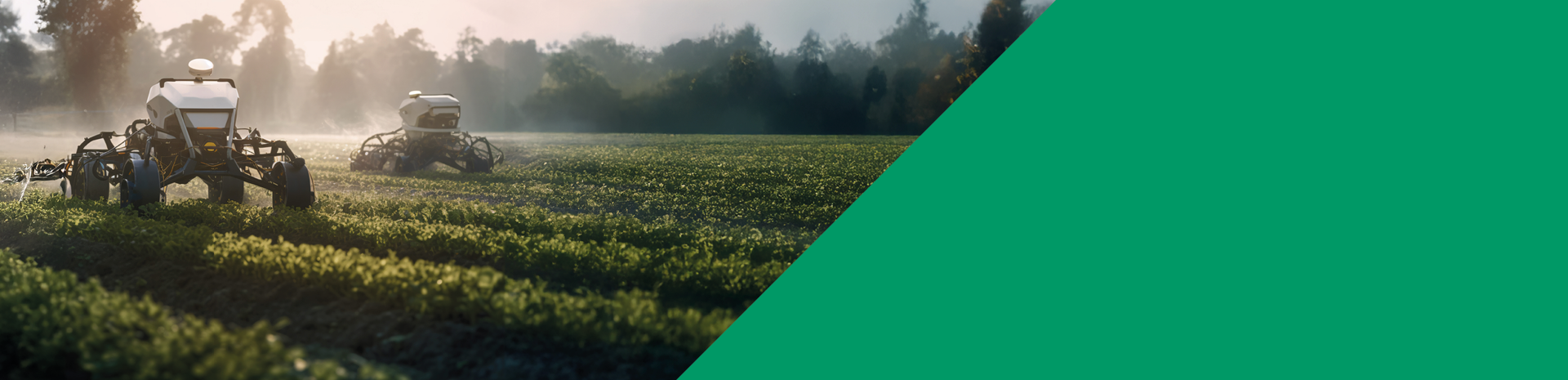 Feldrobotor auf einem Feld im Nebel