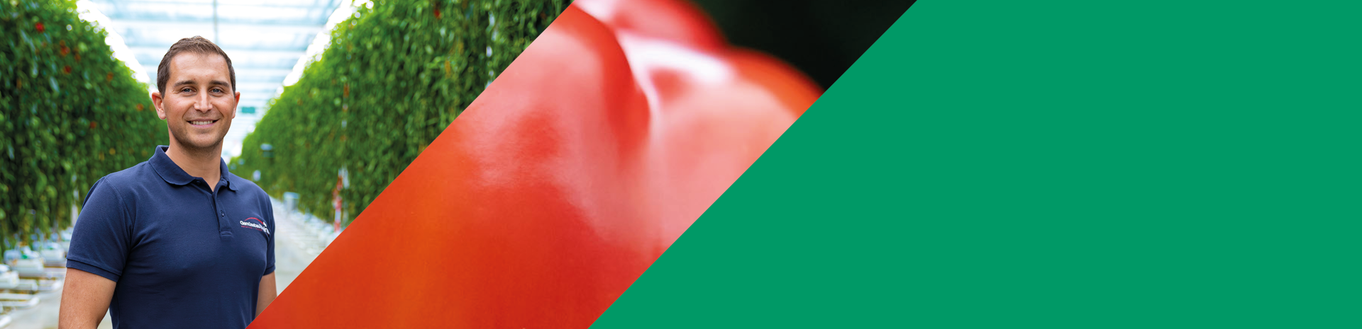 Förderstory: Gemüsebau Steiner Förderstory: Gemüsebau Steiner