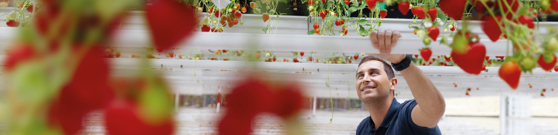 Rentenbank - Die Förderbank für die Agrarwirtschaft Landwirtschaftliche Rentenbank Das zentrale Refinanzierungsinstitut der deutschen Agrar- und Ernährungswirtschaft mit Förderauftrag stellt sich und seine speziellen Kredite vor.