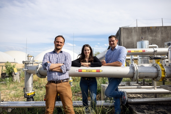 Rentenbank-Studie: Die volle Ernte der Bioenergien einfahren